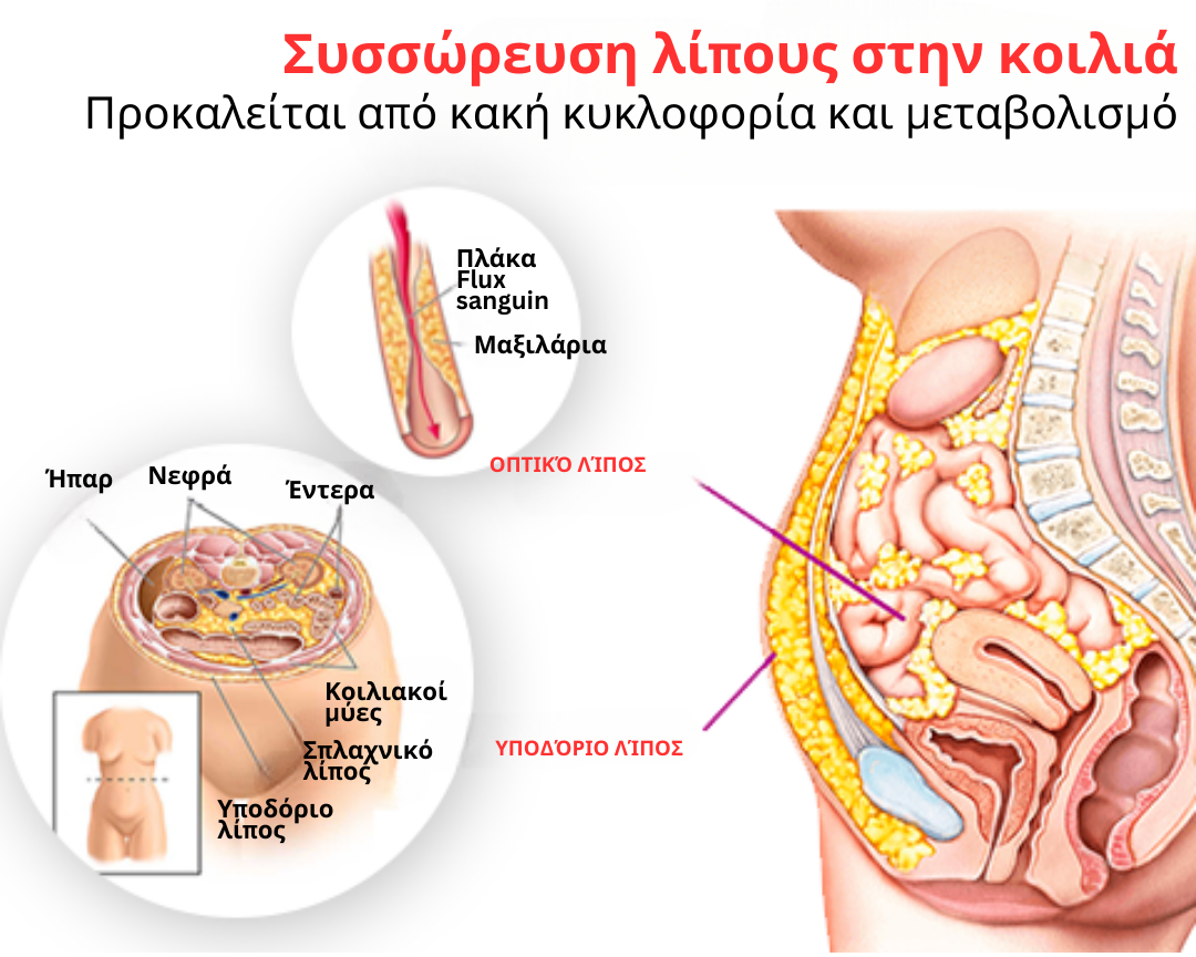 GFOUK IONSculpt Εσώρουχα από ίνες τουρμαλίνης