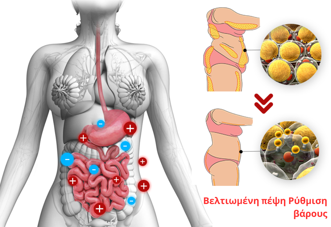 GFOUK IONSculpt Εσώρουχα από ίνες τουρμαλίνης