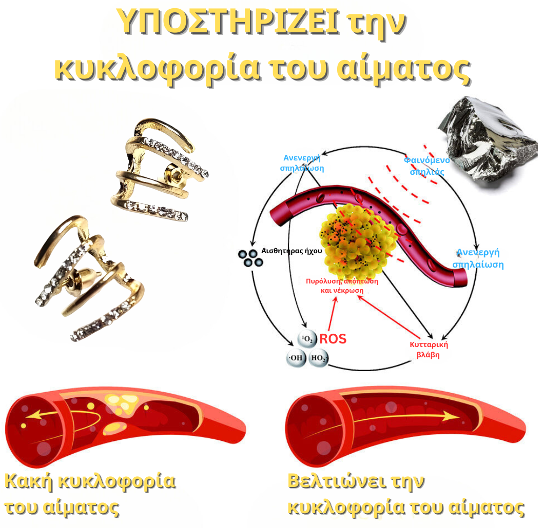 Σκουλαρίκια "Metal Claw Lymphvity"