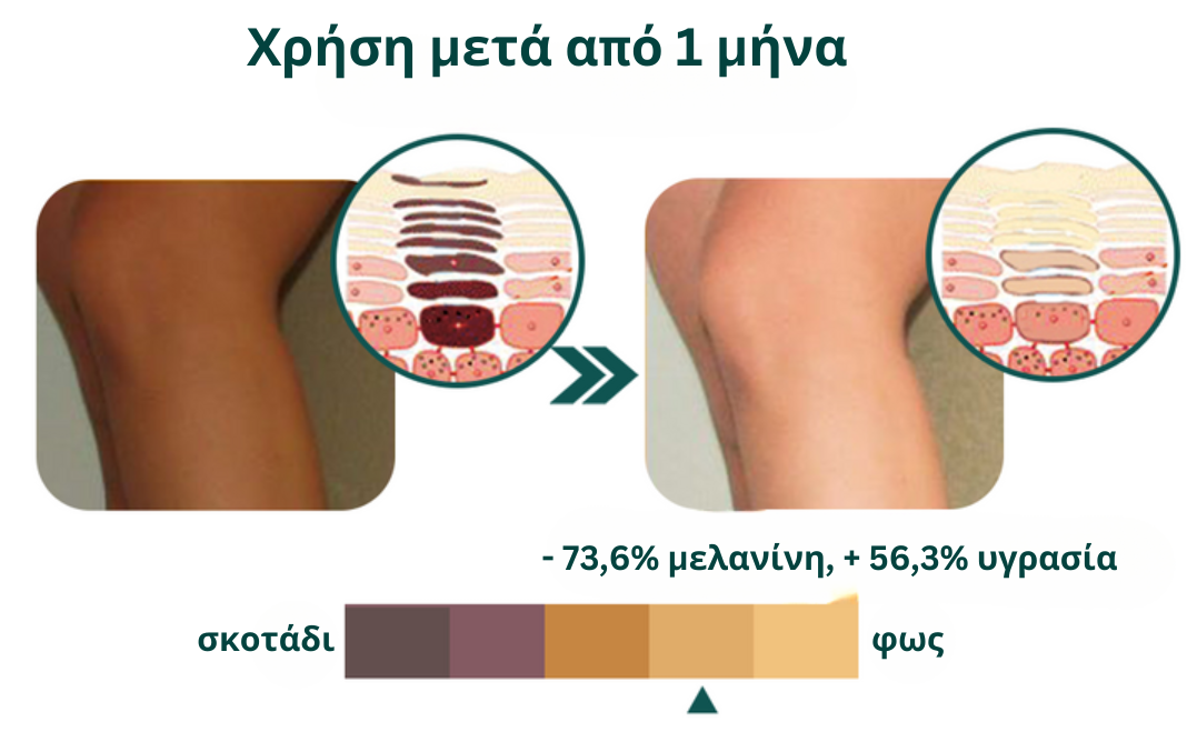 flysmus™ Σαπούνι Silk Protein Melanin Fading